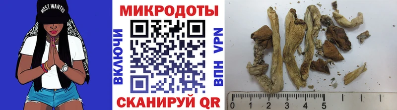 гидра ONION Красноармейск Псилоцибиновые грибы Psilocybine cubensis