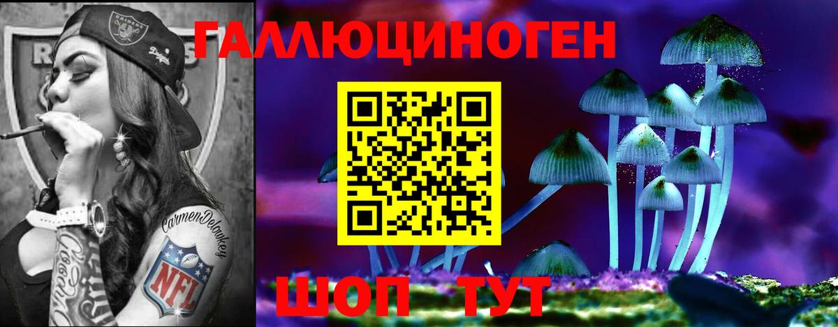 Псилоцибиновые грибы прущие грибы  Вход с VPN  Красноармейск 